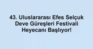 43. Uluslararası Efes Selçuk Deve Güreşleri Festivali Heyecanı Başlıyor!
