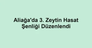 Aliağa'da 3. Zeytin Hasat Şenliği Düzenlendi