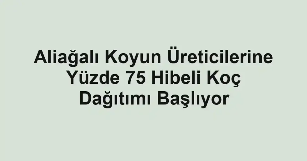 Aliağalı Koyun Üreticilerine Yüzde 75 Hibeli Koç Dağıtımı Başlıyor