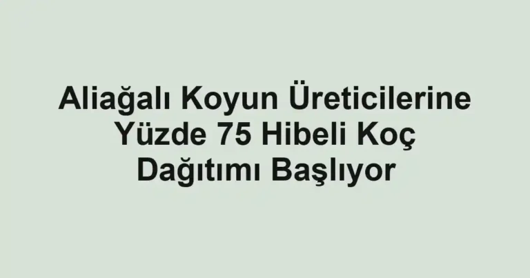 Aliağalı Koyun Üreticilerine Yüzde 75 Hibeli Koç Dağıtımı Başlıyor