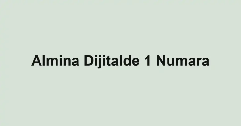 Almina Dijitalde 1 Numara