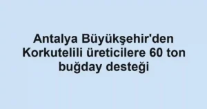 Antalya Büyükşehir'den Korkutelili üreticilere 60 ton buğday desteği