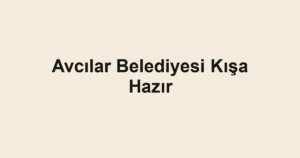 Avcılar Belediyesi Kışa Hazır
