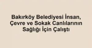 Bakırköy Belediyesi İnsan, Çevre ve Sokak Canlılarının Sağlığı İçin Çalıştı