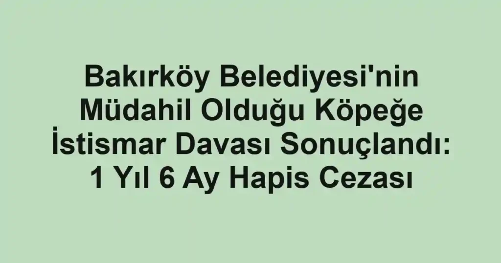 Bakırköy Belediyesi'nin Müdahil Olduğu Köpeğe İstismar Davası Sonuçlandı: 1 Yıl 6 Ay Hapis Cezası