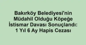 Bakırköy Belediyesi'nin Müdahil Olduğu Köpeğe İstismar Davası Sonuçlandı: 1 Yıl 6 Ay Hapis Cezası