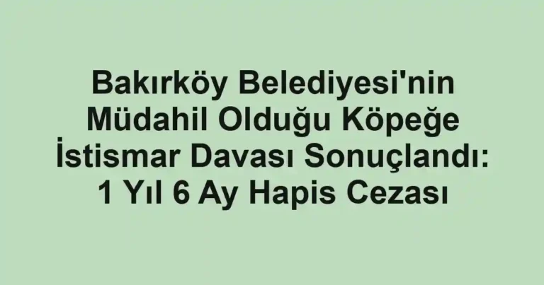Bakırköy Belediyesi'nin Müdahil Olduğu Köpeğe İstismar Davası Sonuçlandı: 1 Yıl 6 Ay Hapis Cezası