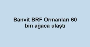 Banvit BRF Ormanları 60 bin ağaca ulaştı