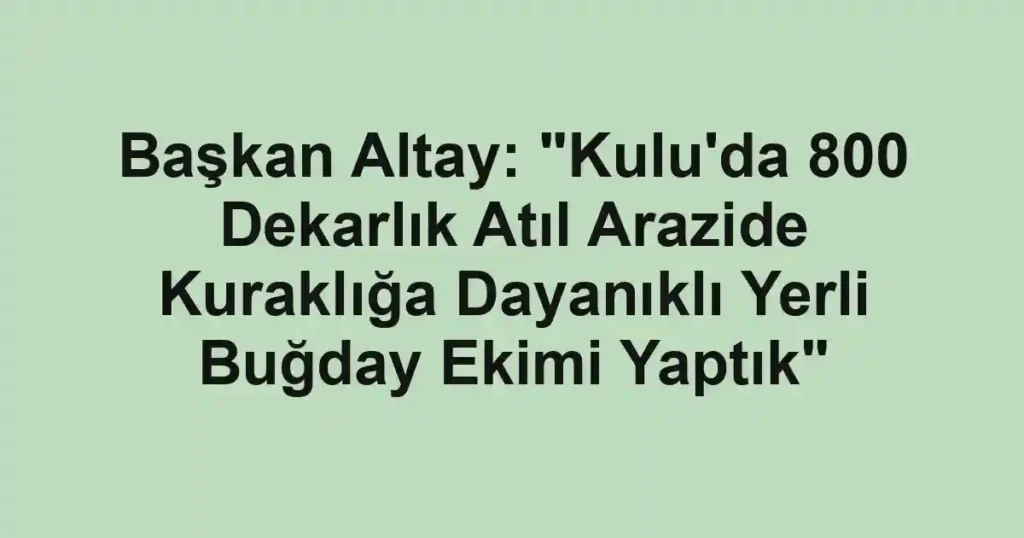 Başkan Altay: "Kulu'da 800 Dekarlık Atıl Arazide Kuraklığa Dayanıklı Yerli Buğday Ekimi Yaptık"