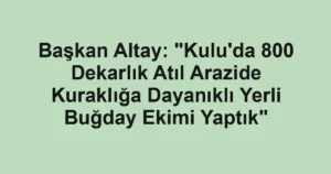 Başkan Altay: "Kulu'da 800 Dekarlık Atıl Arazide Kuraklığa Dayanıklı Yerli Buğday Ekimi Yaptık"