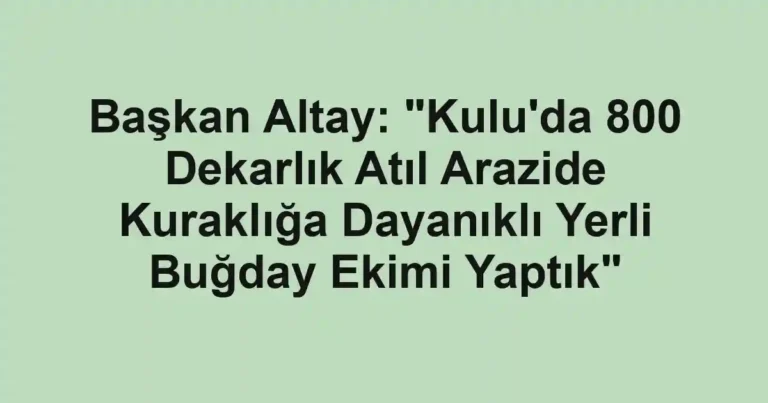 Başkan Altay: "Kulu'da 800 Dekarlık Atıl Arazide Kuraklığa Dayanıklı Yerli Buğday Ekimi Yaptık"