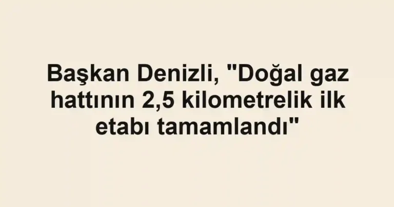 Başkan Denizli, "Doğal gaz hattının 2,5 kilometrelik ilk etabı tamamlandı"