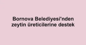 Bornova Belediyesi'nden zeytin üreticilerine destek