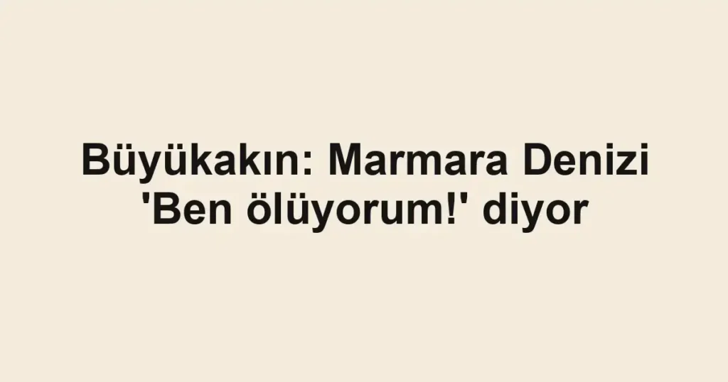 Büyükakın: Marmara Denizi 'Ben ölüyorum!' diyor
