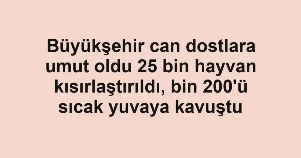 Büyükşehir can dostlara umut oldu 25 bin hayvan kısırlaştırıldı, bin 200'ü sıcak yuvaya kavuştu
