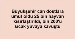 Büyükşehir can dostlara umut oldu 25 bin hayvan kısırlaştırıldı, bin 200'ü sıcak yuvaya kavuştu