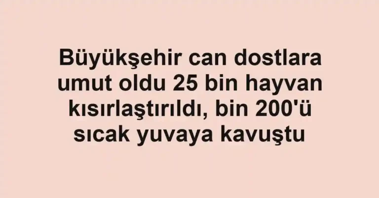 Büyükşehir can dostlara umut oldu 25 bin hayvan kısırlaştırıldı, bin 200'ü sıcak yuvaya kavuştu