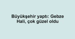Büyükşehir yaptı: Gebze Hali, çok güzel oldu