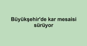 Büyükşehir'de kar mesaisi sürüyor