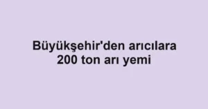 Büyükşehir'den arıcılara 200 ton arı yemi