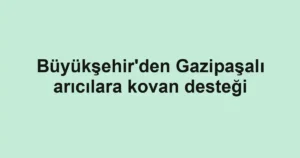 Büyükşehir'den Gazipaşalı arıcılara kovan desteği