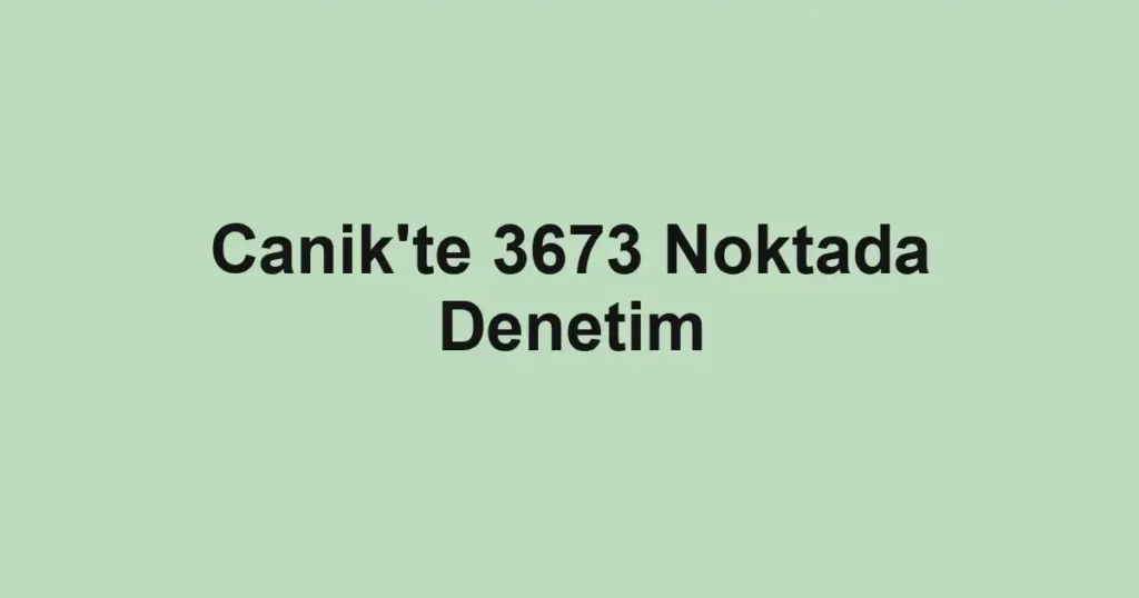 Canik'te 3673 Noktada Denetim