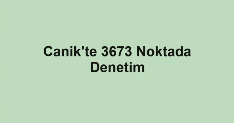 Canik'te 3673 Noktada Denetim