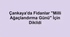 Çankaya'da Fidanlar "Milli Ağaçlandırma Günü" İçin Dikildi