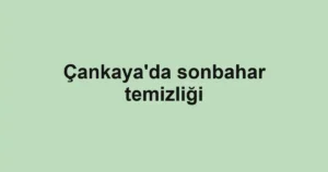 Çankaya'da sonbahar temizliği