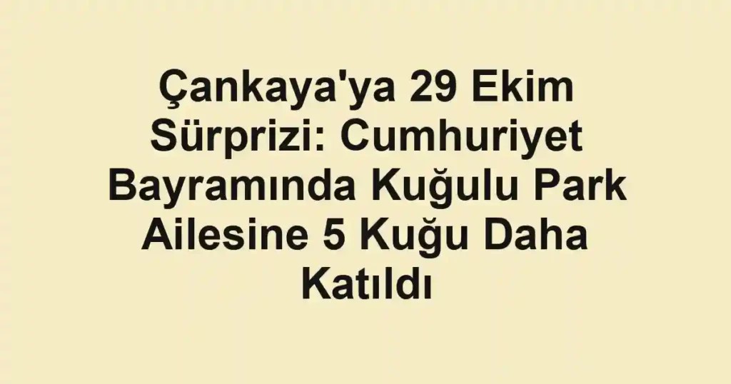 Çankaya'ya 29 Ekim Sürprizi: Cumhuriyet Bayramında Kuğulu Park Ailesine 5 Kuğu Daha Katıldı