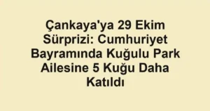 Çankaya'ya 29 Ekim Sürprizi: Cumhuriyet Bayramında Kuğulu Park Ailesine 5 Kuğu Daha Katıldı