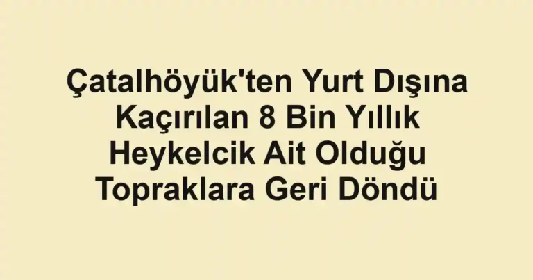 Çatalhöyük'ten Yurt Dışına Kaçırılan 8 Bin Yıllık Heykelcik Ait Olduğu Topraklara Geri Döndü