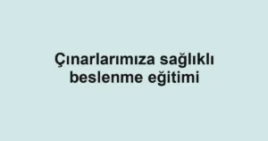 Çınarlarımıza sağlıklı beslenme eğitimi