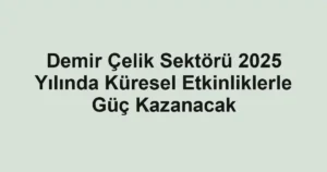 Demir Çelik Sektörü 2025 Yılında Küresel Etkinliklerle Güç Kazanacak