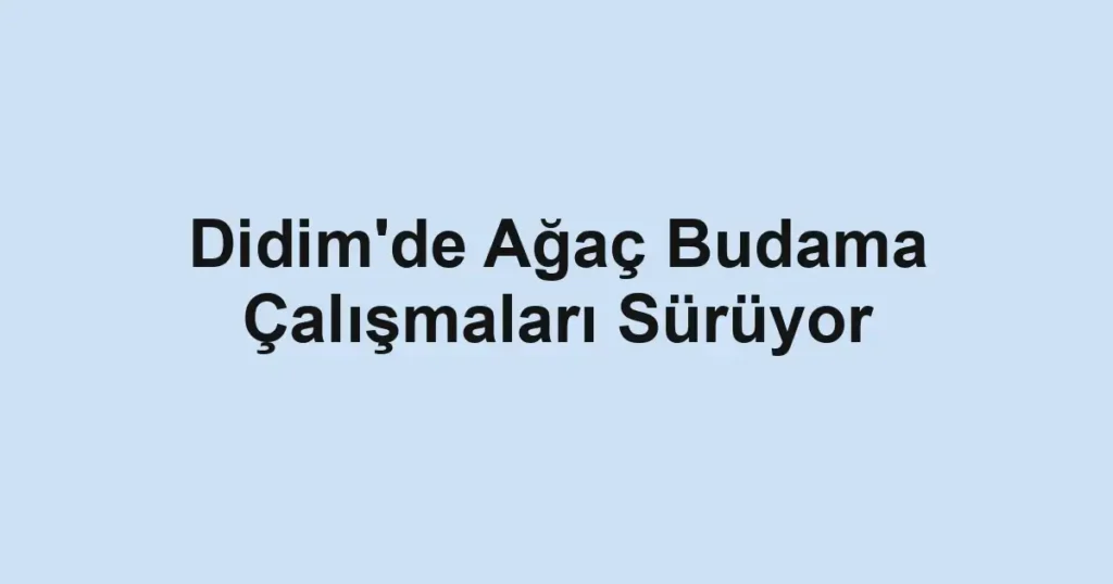 Didim'de Ağaç Budama Çalışmaları Sürüyor