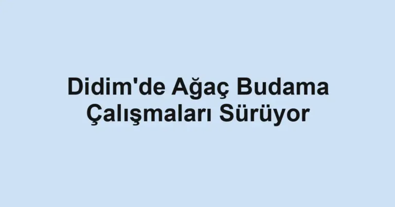 Didim'de Ağaç Budama Çalışmaları Sürüyor