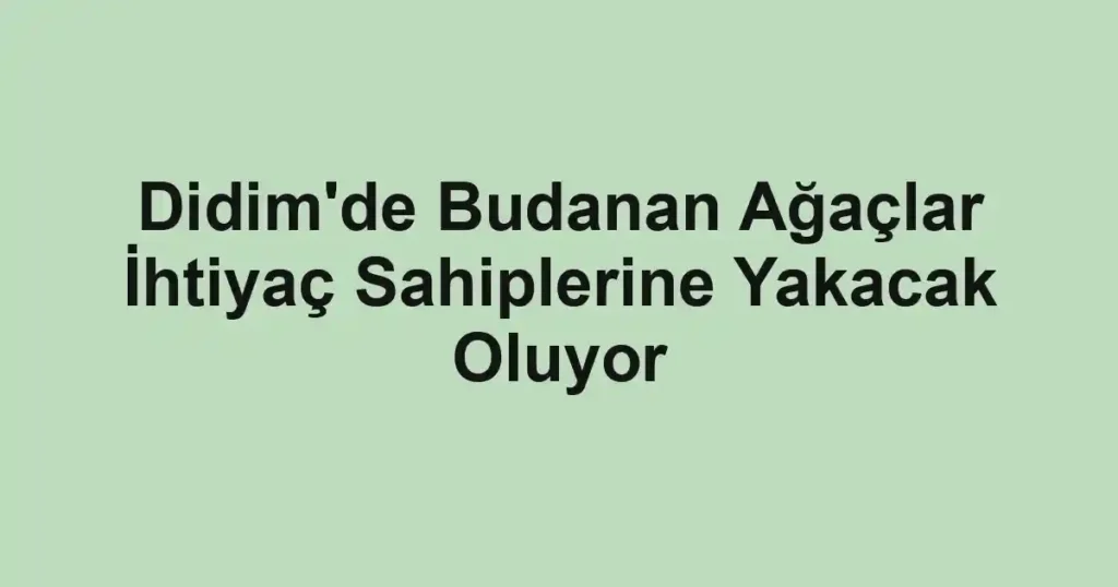 Didim'de Budanan Ağaçlar İhtiyaç Sahiplerine Yakacak Oluyor