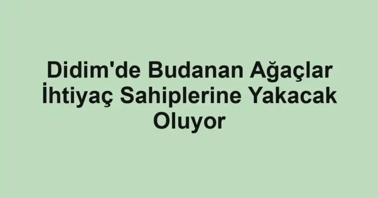 Didim'de Budanan Ağaçlar İhtiyaç Sahiplerine Yakacak Oluyor