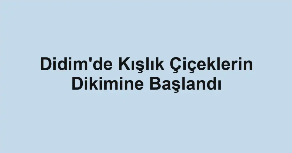 Didim'de Kışlık Çiçeklerin Dikimine Başlandı