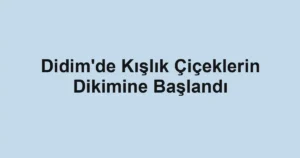 Didim'de Kışlık Çiçeklerin Dikimine Başlandı