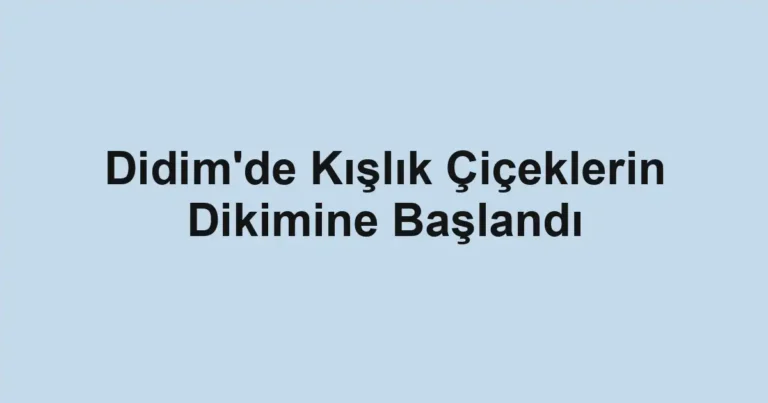 Didim'de Kışlık Çiçeklerin Dikimine Başlandı