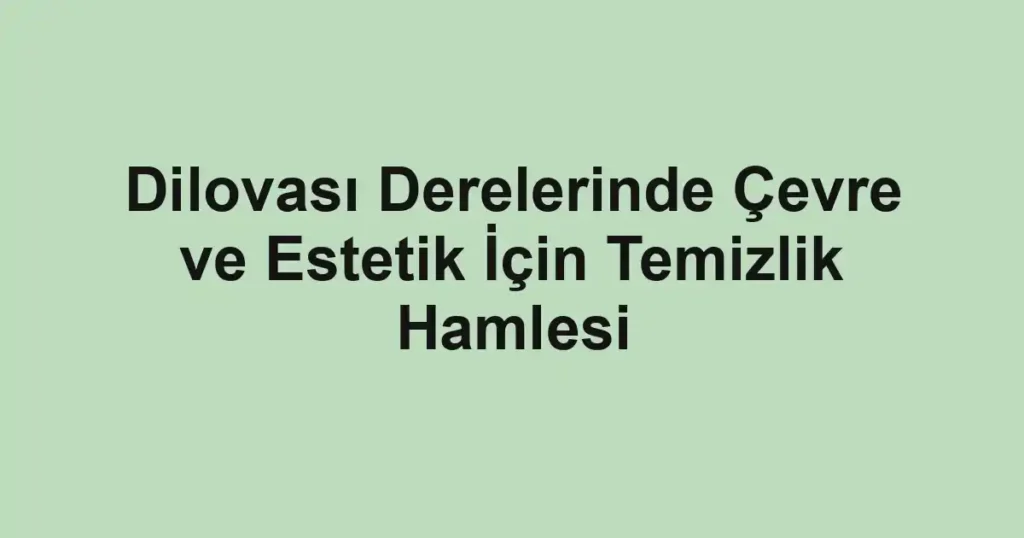Dilovası Derelerinde Çevre ve Estetik İçin Temizlik Hamlesi