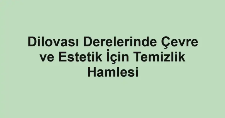 Dilovası Derelerinde Çevre ve Estetik İçin Temizlik Hamlesi