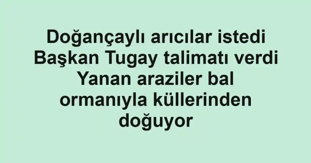 Doğançaylı arıcılar istedi Başkan Tugay talimatı verdi Yanan araziler bal ormanıyla küllerinden doğuyor