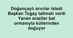 Doğançaylı arıcılar istedi Başkan Tugay talimatı verdi Yanan araziler bal ormanıyla küllerinden doğuyor