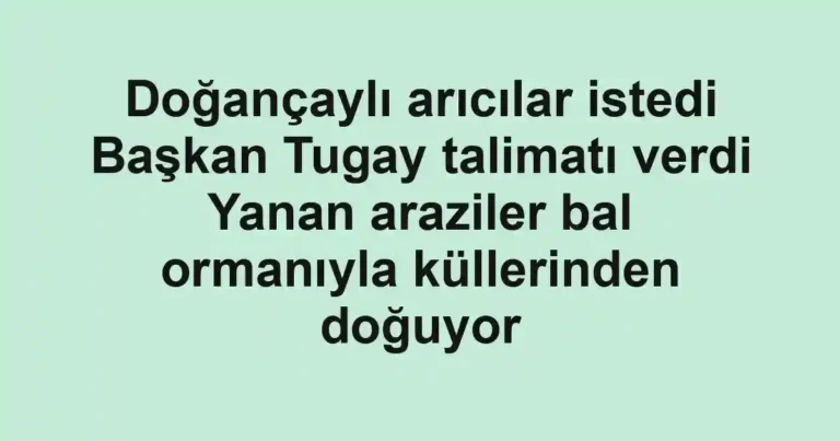 Doğançaylı arıcılar istedi Başkan Tugay talimatı verdi Yanan araziler bal ormanıyla küllerinden doğuyor