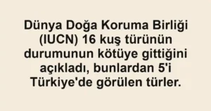 Dünya Doğa Koruma Birliği (IUCN) 16 kuş türünün durumunun kötüye gittiğini açıkladı, bunlardan 5'i Türkiye'de görülen türler.