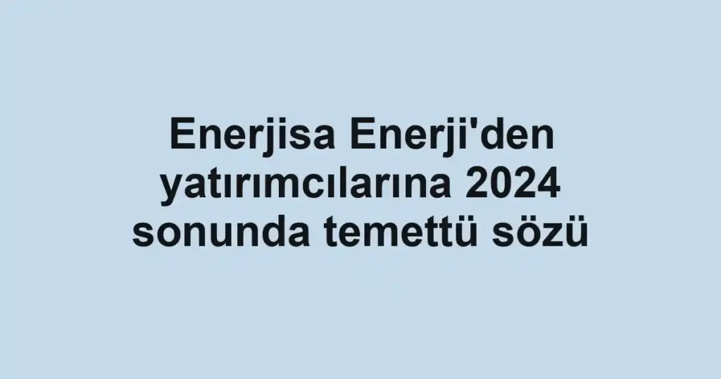Enerjisa Enerji'den yatırımcılarına 2024 sonunda temettü sözü