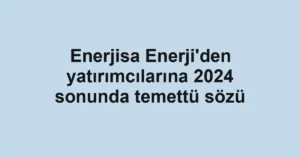 Enerjisa Enerji'den yatırımcılarına 2024 sonunda temettü sözü