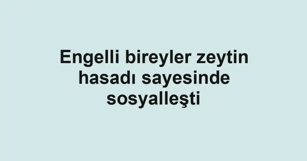 Engelli bireyler zeytin hasadı sayesinde sosyalleşti